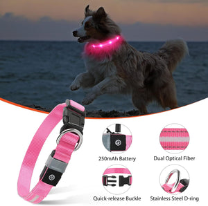 Rechargeable LED Dog Collar - Water-Resistant, Light Up, Flashing, Glowing for Night Safety - Adjustable Illuminated (S, Pink)