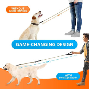 Heavy Duty Bungee Rope Leash (Teal, 5.5 Ft Bungee Leash)