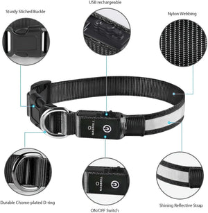 Light up Dog Collars - LED Dog Collar Rechargeable Lighted Dog Collars for Night Resistant-Water Glow Dog Collar