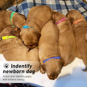 Puppy Litter Collars, Super Soft Nylon Adjustable Whelping ID Bands, Camouflage Assorted Colors Identification Set of 12 (S)