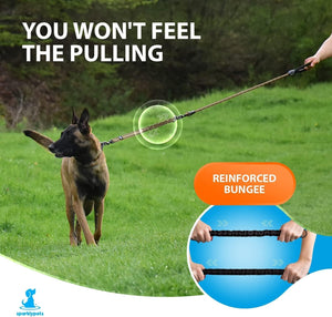 Heavy Duty Bungee Rope Leash (Teal, 5.5 Ft Bungee Leash)