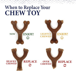 Strong Chew Gourmet Style Dog Chew Toys, Large, 2 Count