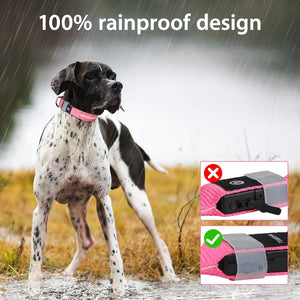 Rechargeable LED Dog Collar - Water-Resistant, Light Up, Flashing, Glowing for Night Safety - Adjustable Illuminated (S, Pink)