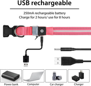 Rechargeable LED Dog Collar - Water-Resistant, Light Up, Flashing, Glowing for Night Safety - Adjustable Illuminated (S, Pink)