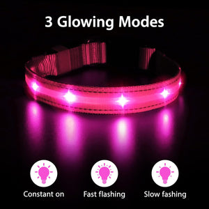 Rechargeable LED Dog Collar - Water-Resistant, Light Up, Flashing, Glowing for Night Safety - Adjustable Illuminated (S, Pink)