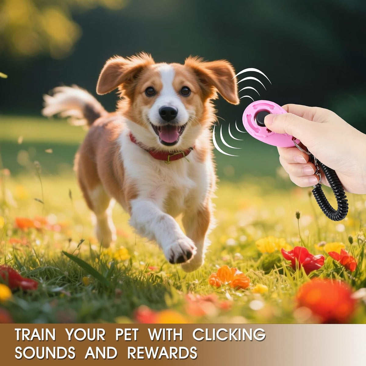 5 Pack Dog Clicker, Pet Training Clicker with Wrist Strap