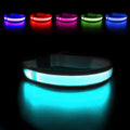 Light up Dog Collars - LED Dog Collar Rechargeable Lighted Dog Collars for Night Resistant-Water Glow Dog Collar