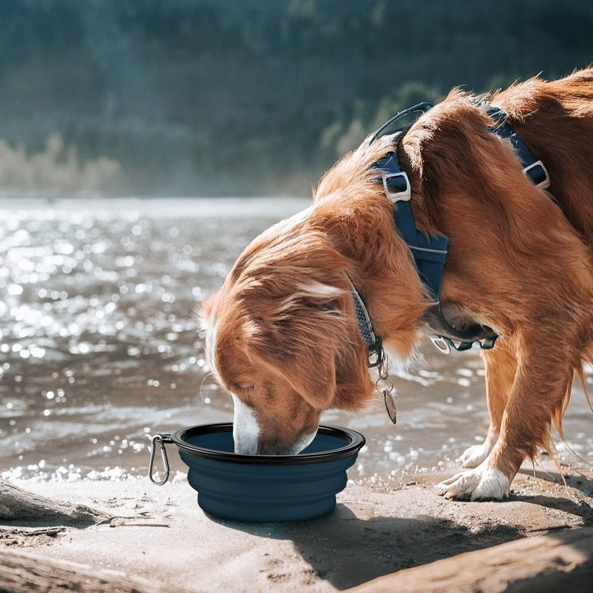 Collapsible Dog Bowl,2 Pack Collapsible Dog Water Bowls for Cats Dogs,Portable Pet Feeding Watering Dish for Walking Parking Traveling with 2 Carabiners