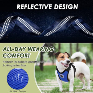 Dog Car Harness Seat Belt, Harness & Seatbelt with 2 in 1 Buckle
