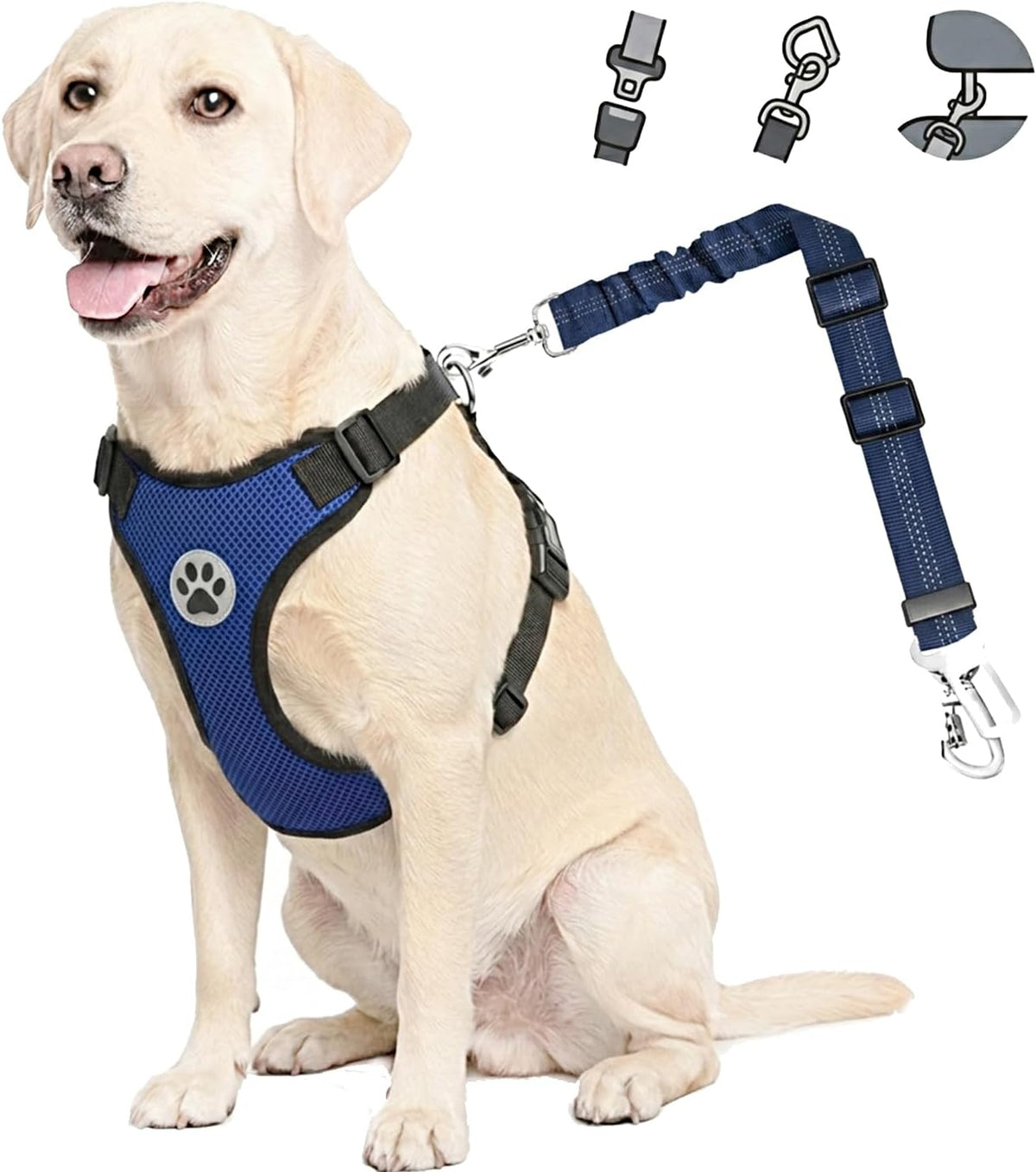 Dog Harness & Seatbelt with 2 in 1 Buckle -Pets Daily Essentials