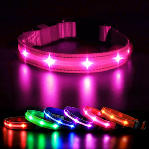 Rechargeable LED Dog Collar - Water-Resistant, Light Up, Flashing, Glowing for Night Safety - Adjustable Illuminated (S, Pink)