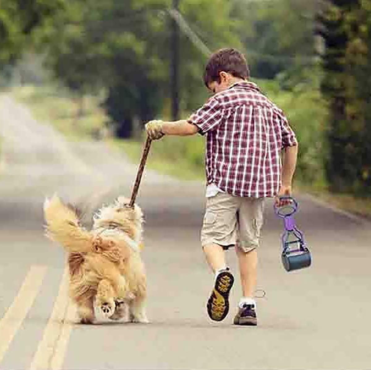 Pet Pooper Scooper for Dogs Cats