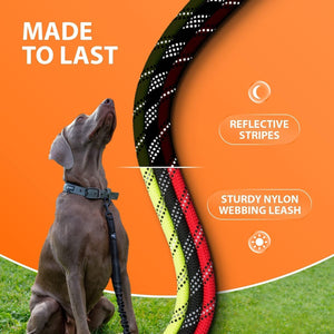 Heavy Duty Bungee Rope Leash (Teal, 5.5 Ft Bungee Leash)