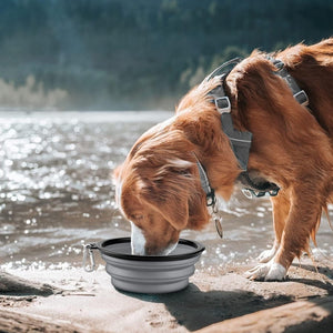 Collapsible Dog Bowl,2 Pack Collapsible Dog Water Bowls for Cats Dogs,Portable Pet Feeding Watering Dish for Walking Parking Traveling with 2 Carabiners