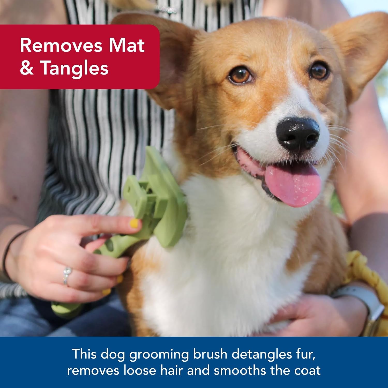Pet Safari Dog Self-Cleaning Slicker Brush - Dog Deshedding Brush - Prevents Mats and Tangled Hair - for Dogs with Short or Long Hair - Small - 7" X 3.6"
